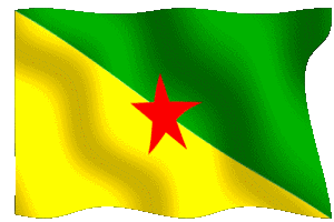 guyaneflag